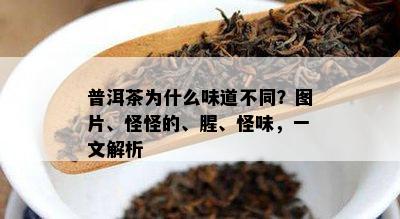 普洱茶为什么味道不同？图片、怪怪的、腥、怪味，一文解析