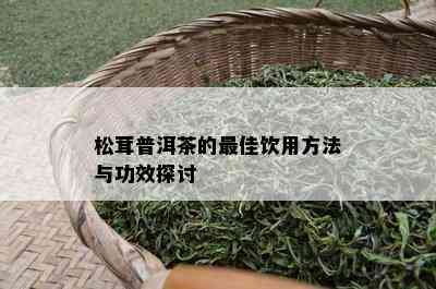 松茸普洱茶的更佳饮用方法与功效探讨