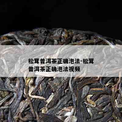 松茸普洱茶正确泡法-松茸普洱茶正确泡法视频