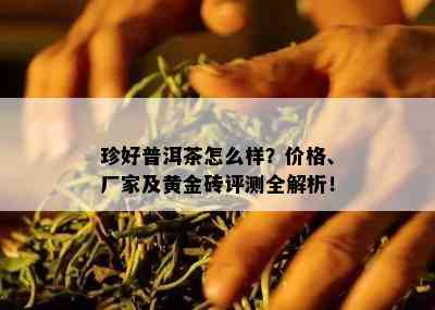 珍好普洱茶怎么样？价格、厂家及黄金砖评测全解析！