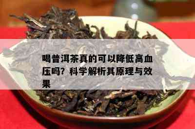 喝普洱茶真的可以降低高血压吗？科学解析其原理与效果