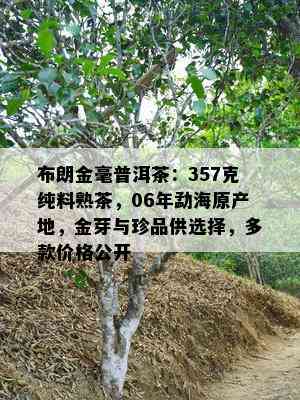 布朗金毫普洱茶：357克纯料熟茶，06年勐海原产地，金芽与珍品供选择，多款价格公开