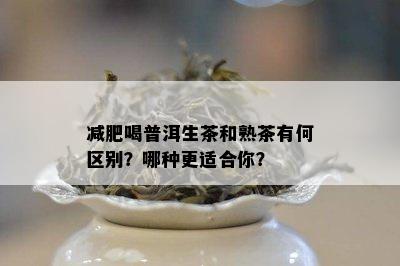 减肥喝普洱生茶和熟茶有何区别？哪种更适合你？