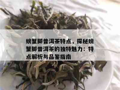 螃蟹脚普洱茶特点，探秘螃蟹脚普洱茶的独特魅力：特点解析与品鉴指南