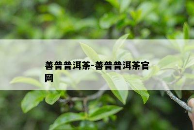 善普普洱茶-善普普洱茶官网