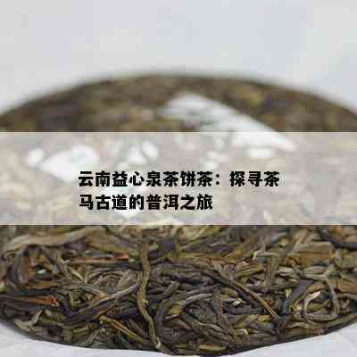 云南益心泉茶饼茶：探寻茶马古道的普洱之旅