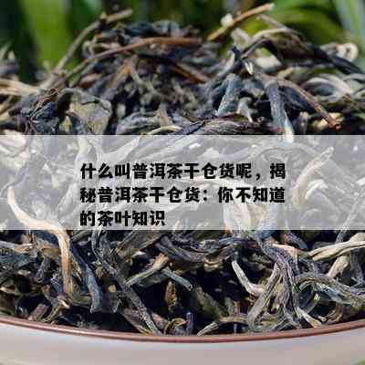 什么叫普洱茶干仓货呢，揭秘普洱茶干仓货：你不知道的茶叶知识