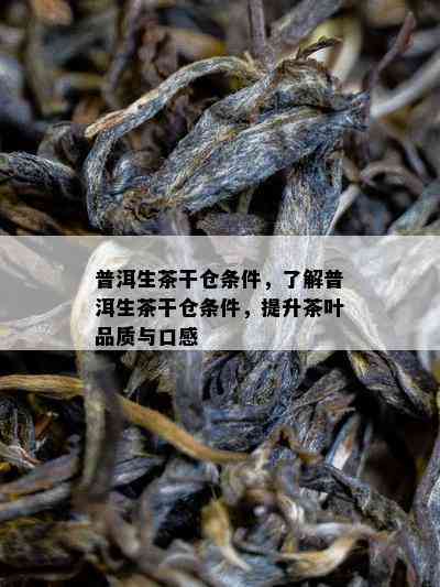 普洱生茶干仓条件，了解普洱生茶干仓条件，提升茶叶品质与口感