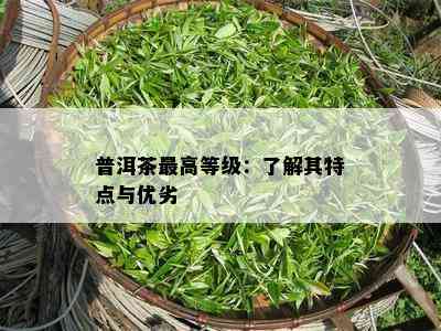 普洱茶更高等级：了解其特点与优劣