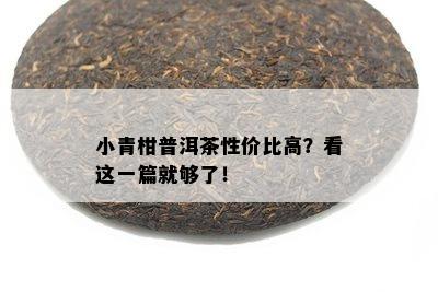 小青柑普洱茶性价比高？看这一篇就够了！