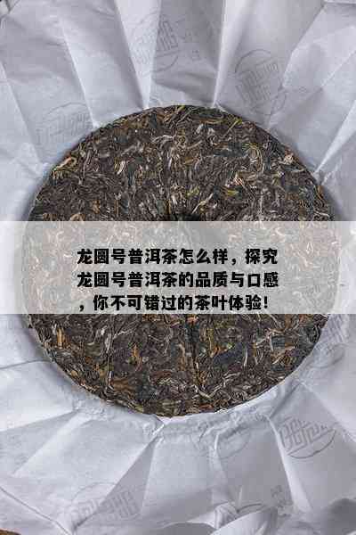 龙圆号普洱茶怎么样，探究龙圆号普洱茶的品质与口感，你不可错过的茶叶体验！