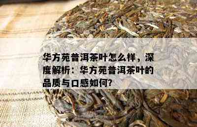 华方苑普洱茶叶怎么样，深度解析：华方苑普洱茶叶的品质与口感如何？