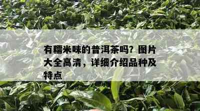 有糯米味的普洱茶吗？图片大全高清，详细介绍品种及特点