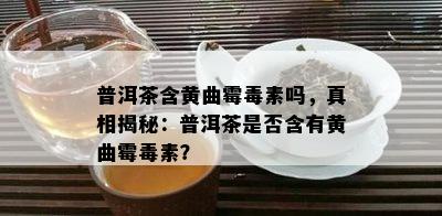 普洱茶含黄曲霉素吗，真相揭秘：普洱茶是否含有黄曲霉素？