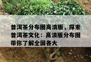 普洱茶分布图高清版，探索普洱茶文化：高清版分布图带你了解全国各大