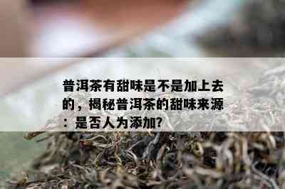 普洱茶有甜味是不是加上去的，揭秘普洱茶的甜味来源：是否人为添加？