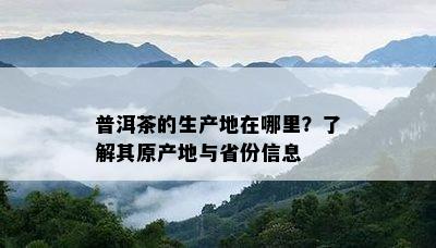 普洱茶的生产地在哪里？了解其原产地与省份信息