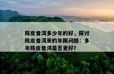 陈皮普洱多少年的好，探讨陈皮普洱茶的年限问题：多年陈皮普洱是否更好？