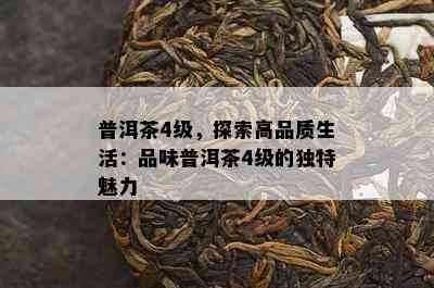 普洱茶4级，探索高品质生活：品味普洱茶4级的独特魅力