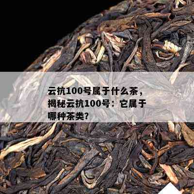 云抗100号属于什么茶，揭秘云抗100号：它属于哪种茶类？