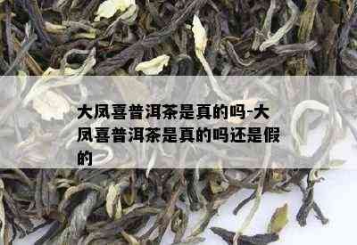 大凤喜普洱茶是真的吗-大凤喜普洱茶是真的吗还是假的