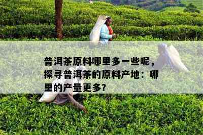 普洱茶原料哪里多一些呢，探寻普洱茶的原料产地：哪里的产量更多？