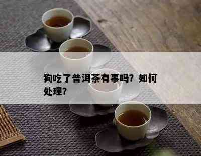 狗吃了普洱茶有事吗？如何处理？