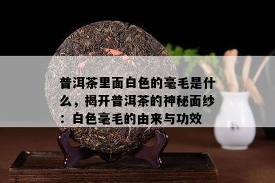 普洱茶里面白色的毫毛是什么，揭开普洱茶的神秘面纱：白色毫毛的由来与功效