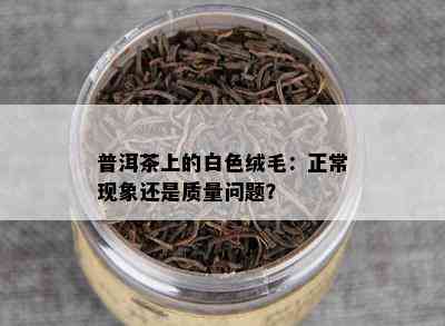 普洱茶上的白色绒毛：正常现象还是质量问题？