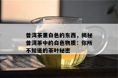 普洱茶里白色的东西，揭秘普洱茶中的白色物质：你所不知道的茶叶秘密