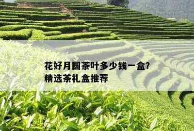 花好月圆茶叶多少钱一盒？精选茶礼盒推荐