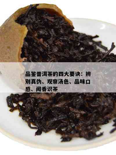 品鉴普洱茶的四大要诀：辨别真伪、观察汤色、品味口感、闻香识茶