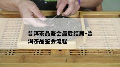 普洱茶品鉴会最后结局-普洱茶品鉴会流程