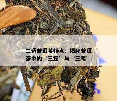 三迈普洱茶特点：揭秘普洱茶中的‘三笠’与‘三爬’