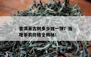 普洱茶古树多少钱一饼？当地茶农价格全揭秘！