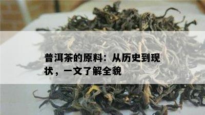 普洱茶的原料：从历史到现状，一文了解全貌