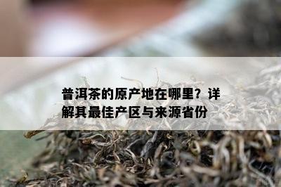 普洱茶的原产地在哪里？详解其更佳产区与来源省份