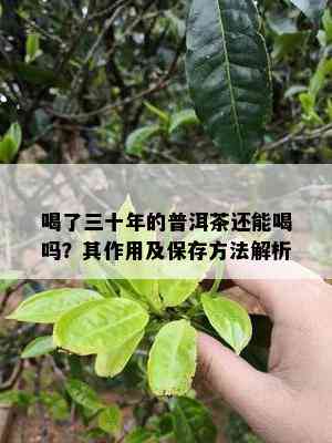 喝了三十年的普洱茶还能喝吗？其作用及保存方法解析