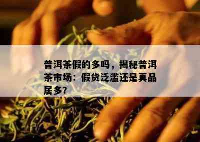 普洱茶假的多吗，揭秘普洱茶市场：假货泛滥还是真品居多？