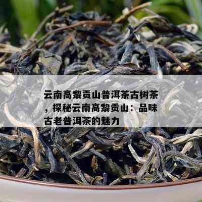 云南高黎贡山普洱茶古树茶，探秘云南高黎贡山：品味古老普洱茶的魅力