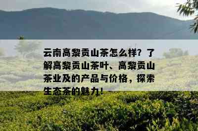 云南高黎贡山茶怎么样？了解高黎贡山茶叶、高黎贡山茶业及的产品与价格，探索生态茶的魅力！