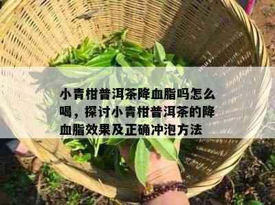 小青柑普洱茶降血脂吗怎么喝，探讨小青柑普洱茶的降血脂效果及正确冲泡方法