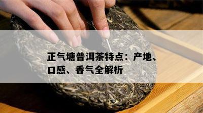 正气塘普洱茶特点：产地、口感、香气全解析