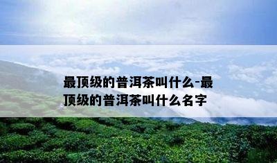 最顶级的普洱茶叫什么-最顶级的普洱茶叫什么名字