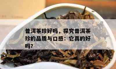 普洱茶珍好吗，探究普洱茶珍的品质与口感：它真的好吗？