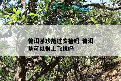 普洱茶珍能过安检吗-普洱茶可以带上飞机吗