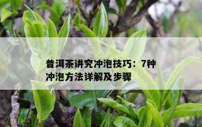 普洱茶讲究冲泡技巧：7种冲泡方法详解及步骤