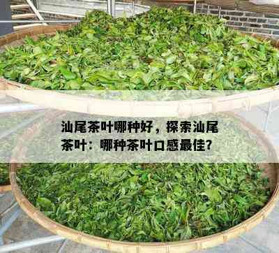 汕尾茶叶哪种好，探索汕尾茶叶：哪种茶叶口感更佳？