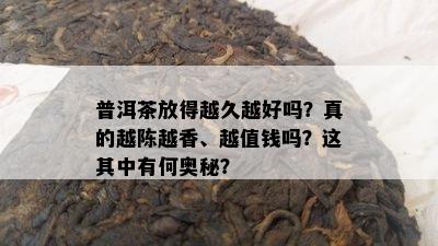 普洱茶放得越久越好吗？真的越陈越香、越值钱吗？这其中有何奥秘？