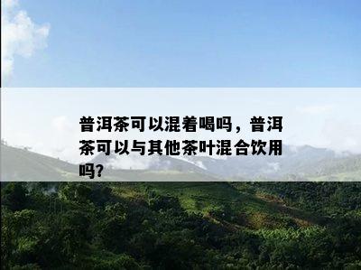 普洱茶可以混着喝吗，普洱茶可以与其他茶叶混合饮用吗？